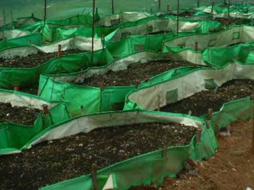 Vermicompost Organic Fertilizer Production
